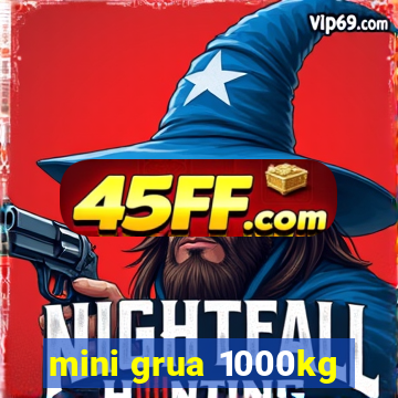 mini grua 1000kg